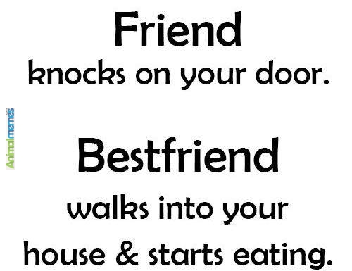 Friend Knocks On Your Door Bestfriend Walks Into Your House & Starts Eating Funny Best Friend Image