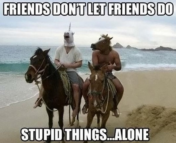 Friends Don't Let Friends Do Stupid Things...Alone Funny Photo