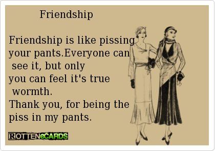 Friendship Is Like Pissing Your Pants Funny Best Friend Image