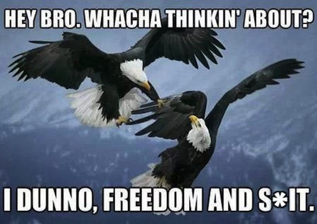 Funny American Meme Hey Bro Whacha Thinkin About I Dunno Freedom And Shit Image