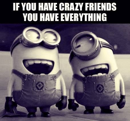 Funny Best Friend If You Have Crazy Friends You Have Everything Photo