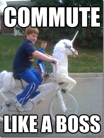 Funny Bike Meme Commute Like A Boss Picture