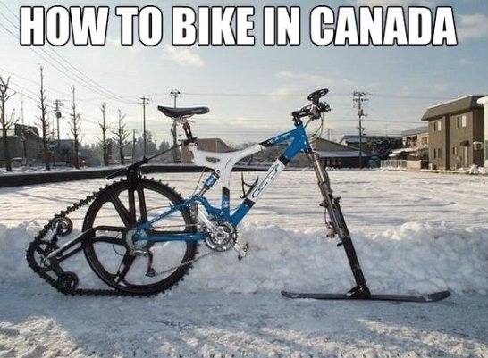 Funny Bike Meme How To Bike In Canada Picture