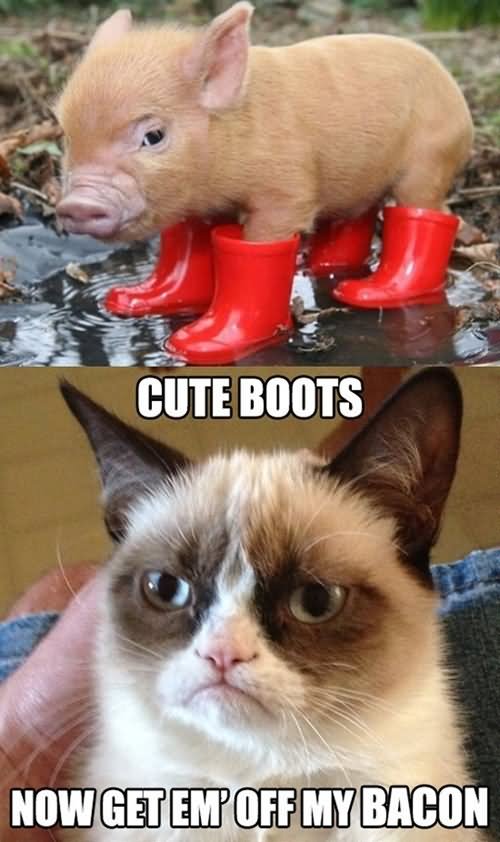 Funny Boots Meme Cute Boots Now Get Em Off My Bacon Picture