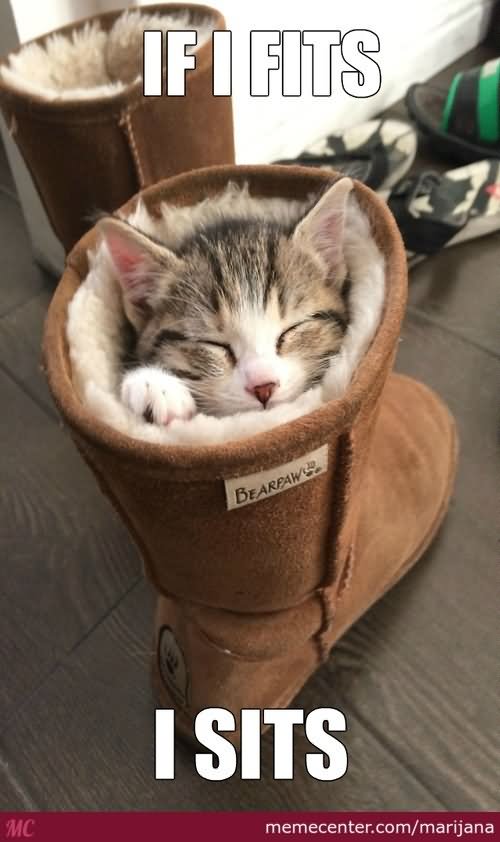 Funny Boots Meme If I Fits I Sits Picture For Facebook