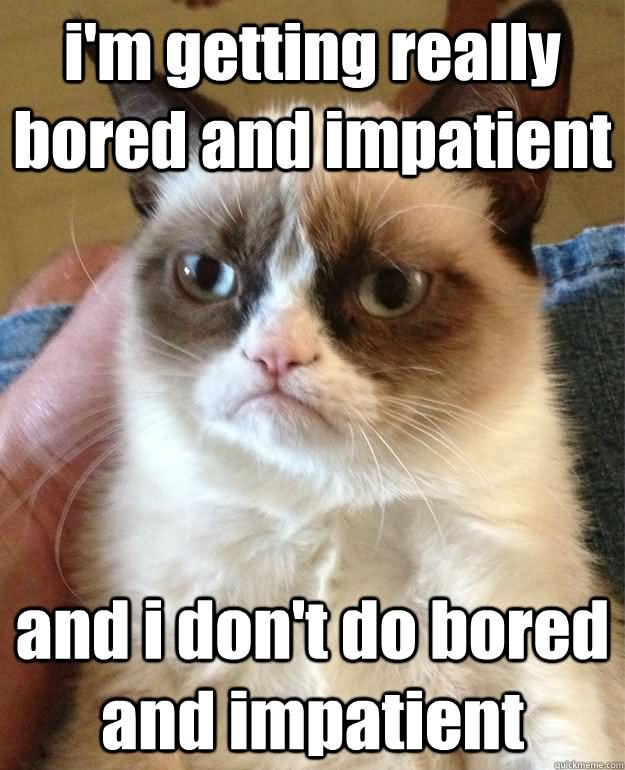 Funny Bored Meme I Am Getting Really Bored And Impatient And I Don't Do Bored And Impatient Picture
