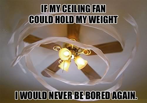 Funny Bored Meme If My Ceiling Fan Could Hold My Weight I Would Never Be Bored Again Picture