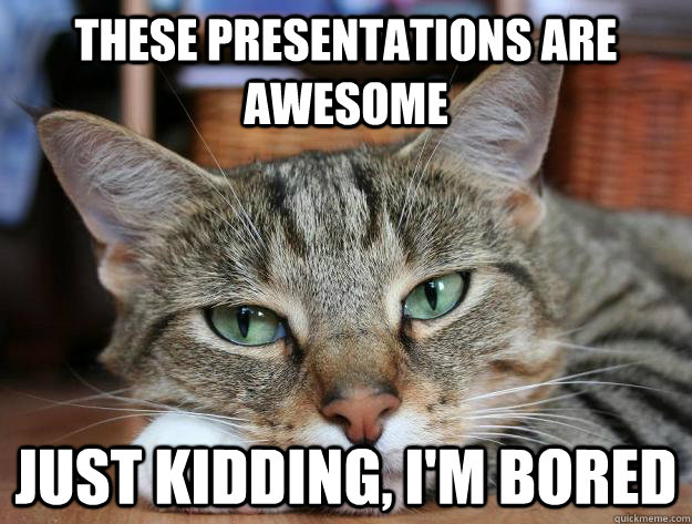 Funny Bored Meme These Presentations Are Awesome Just Kidding I Am Bored Picture
