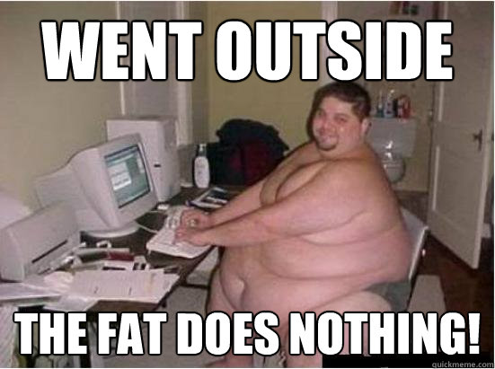Funny Computer Meme Went Outside The Fat Does Nothing Picture