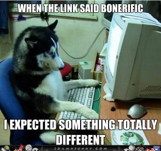Funny Computer Meme When The Link Said Bonerific I Expected Something Totally Different Image