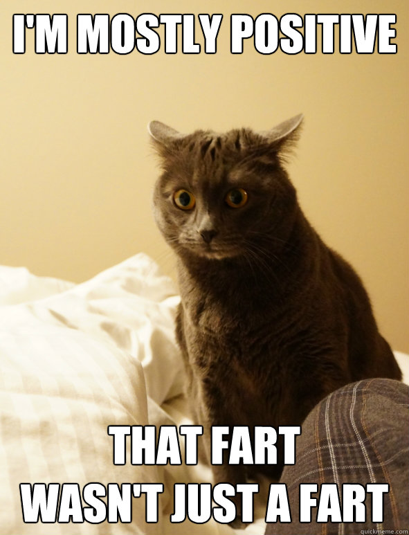 Funny Fart Meme I Am Mostly Positive That Fart Wasn't Just A Fart Photo
