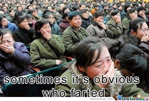 Funny Fart Meme Sometimes It's Obvious Who Farted Picture