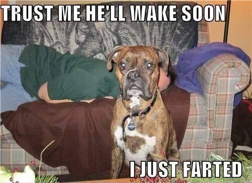 Funny Fart Meme trust Me He Will Wake Soon I Just Farted Picture