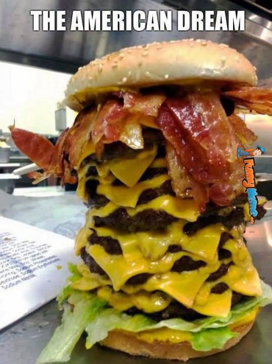 Funny Meme The American Dream Burger Picture