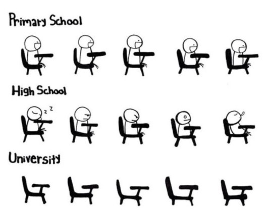 Funny Primary School Vs High School And University Picture