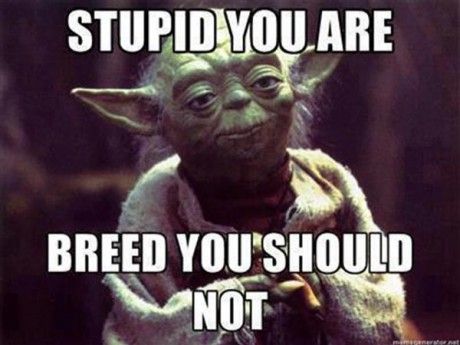 Funny Star War Meme Stupid You Are Breed You Should Not Image
