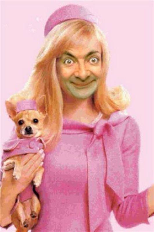 Girl Mr Bean In Pink Dress Smiling With Puppy Funny Picture