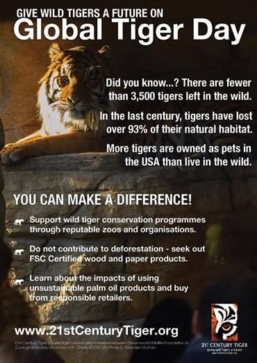Give Wild Tigers A Future On Global Tiger Day Poster