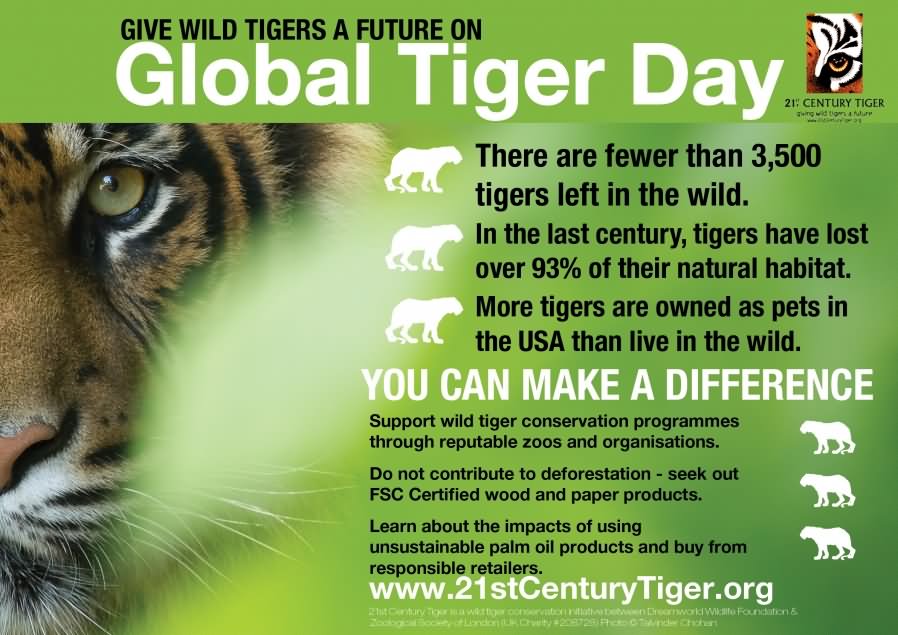 Give Wild Tigers A Future On Global Tiger Day