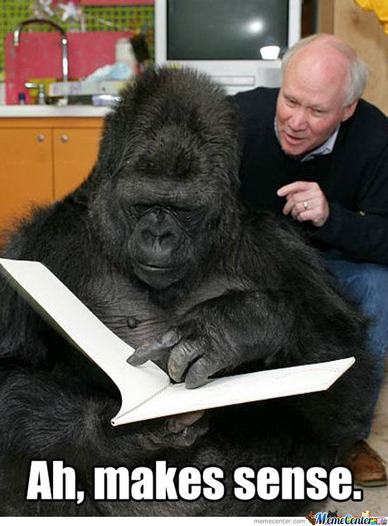 Gorilla Preparing For Exam Very Funny Image For Facebook