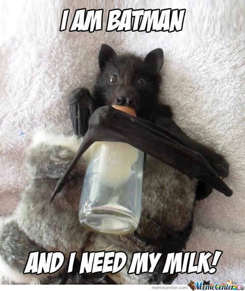 I Am Batman And I Need My Milk Funny Bat Meme Image