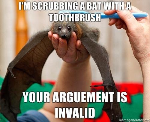 I Am Scrubbing A Bat With A Toothbrush Your Arguments Is Invalid Funny Bat Meme Picture