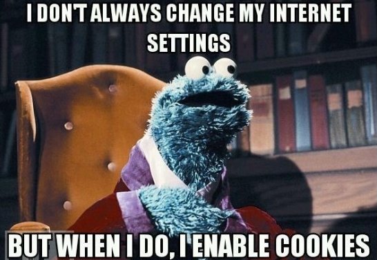 I Don't Always Change My Internet Settings But When I Do I Enable Cookies Funny Computer Meme Picture
