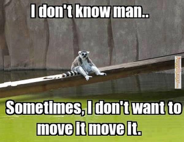 I Don't Know Man Sometimes I Don't Want To Move It Move It Funny Bored Meme Picture