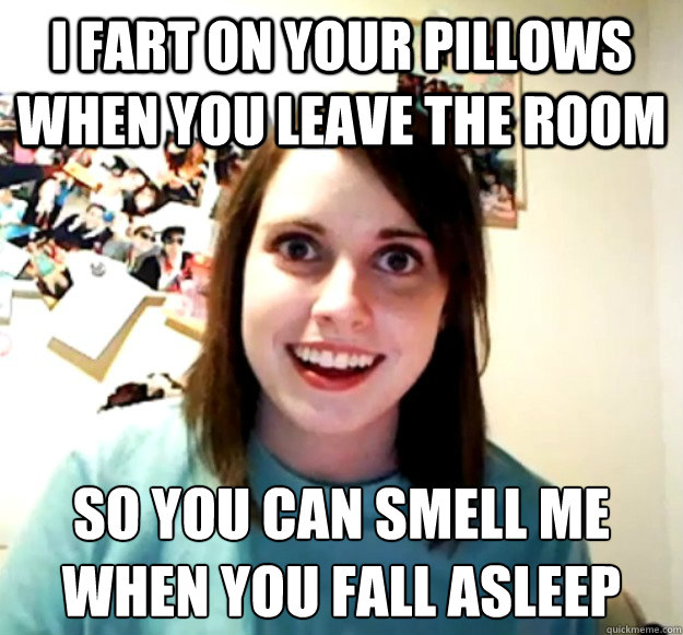 I Fart On Your Pillows When You Leave The Room So You Can Smell Me When You Fall Asleep Funny Fart Meme Picture