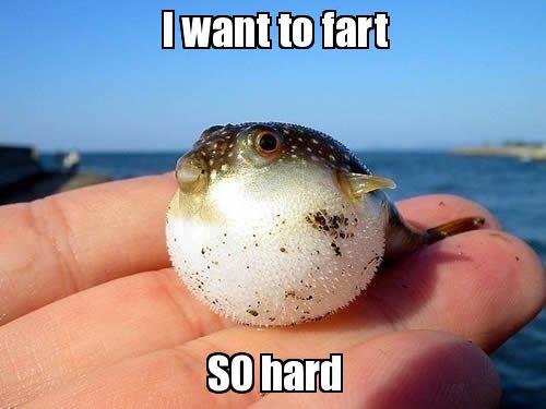 I Want To Fart So Hard Funny Fart Meme Image
