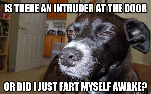 Is There An Intruder At The Door Or Did I Just Fart Myself Awake Funny Fart Meme Image