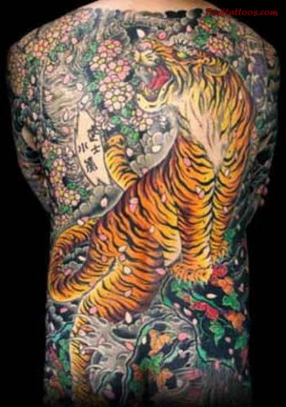 Japanese Tiger With Cherry Blossom Tattoo On Full Back