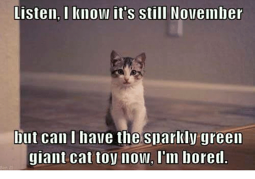 Listen I Know It's Still November But Can I Have The Sparkly Green Giant Cat Toy Now I Am Bored Funny Bored Meme Image