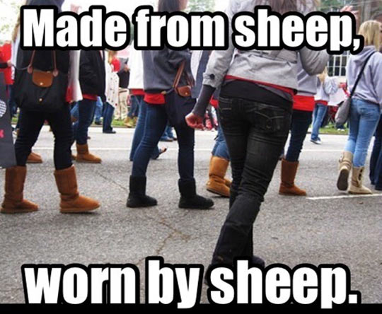 Made From Sheep Worn By Sheep Funny Boots Meme Image