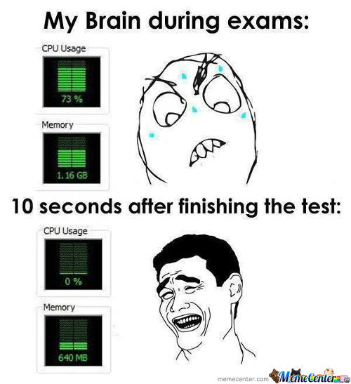 My Brain During Exams Funny Exam Meme Image