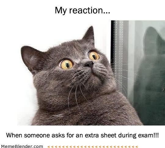 My Reaction When Someone Asks For An Extra Sheet During Exam Funny Exam Meme Picture