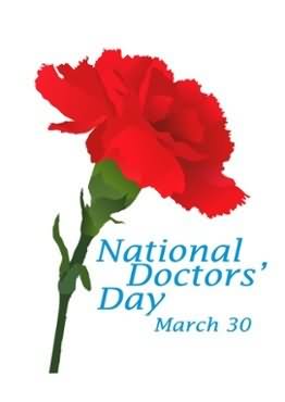 National Doctor's Day Greeting Card