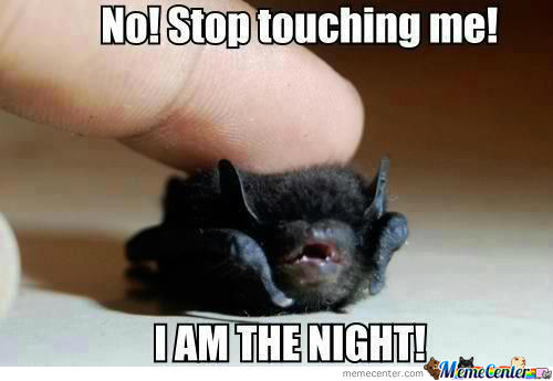 No Stop Touching Me I Am The Night Funny Bat Meme Image