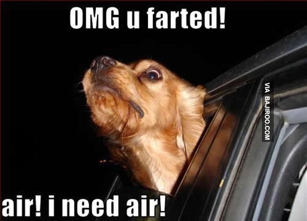 Omg U Farted Air I Need Air Funny Fart Meme Picture