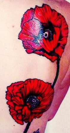 Opium Poppy Flowers Tattoo Design For Back