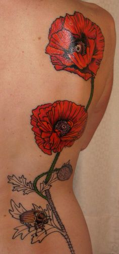 Opium Poppy Flowers Tattoo On Full Back