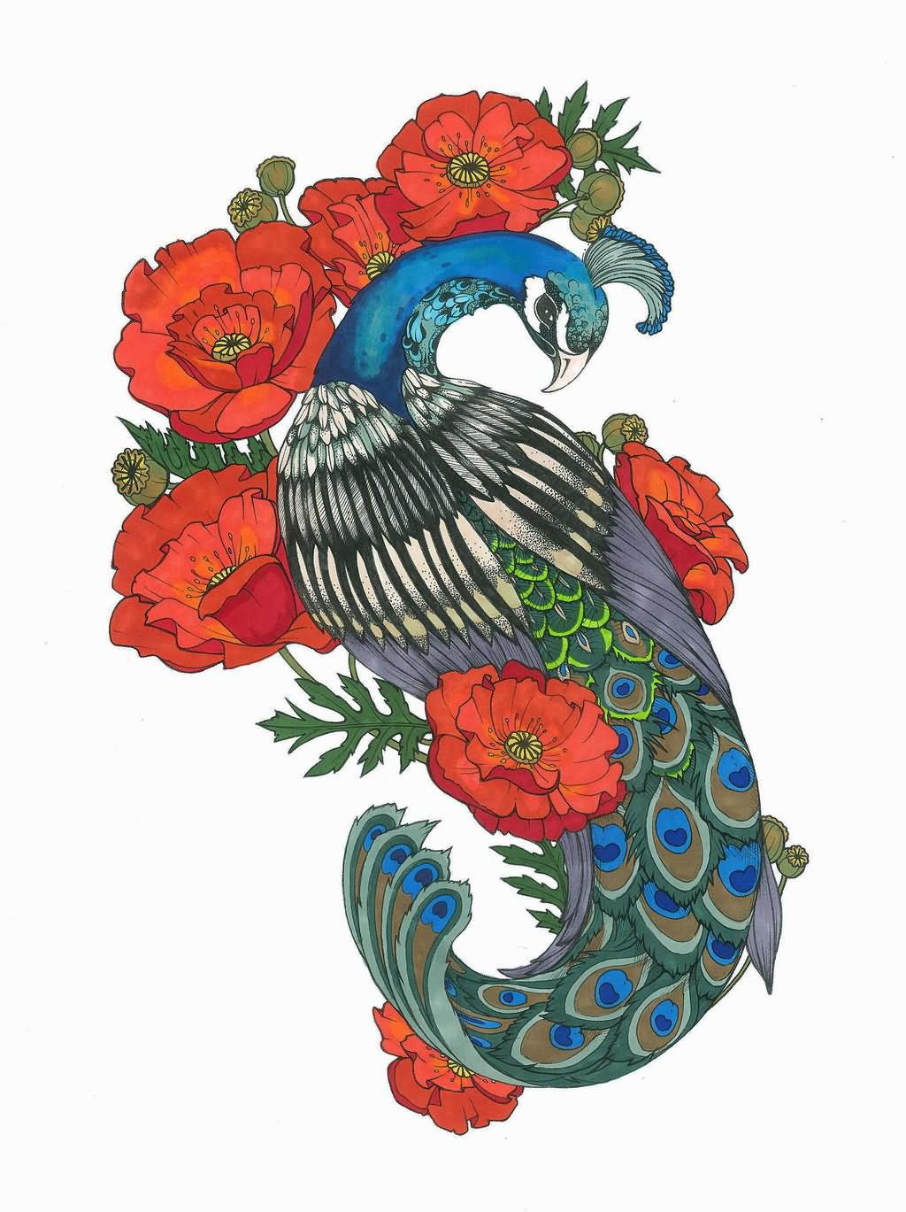 Opium Poppy With Peacock Tattoo Design By Tegan Ray