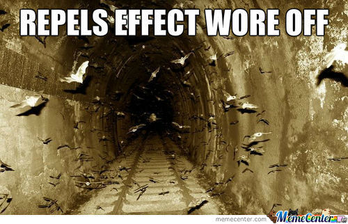 Repels Effect Wore Off Funny Bats Meme Picture