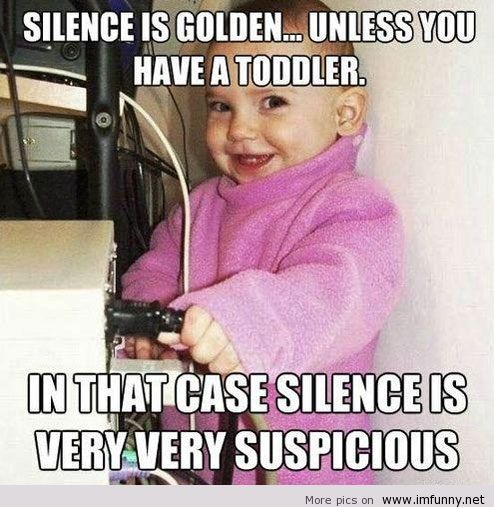 Silence Is Golden... Unless You Have A Toddler In That Case Silence Is Very Very Suspicious Funny Computer Meme Image