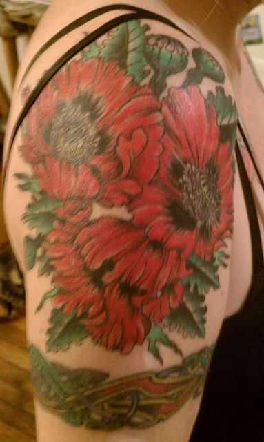 Simple Poppy Flowers Tattoo On Right Shoulder