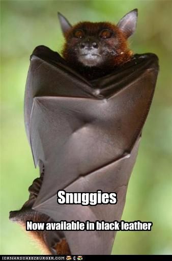 Snuggies Now Available In Black Leather Funny Bat Meme Picture