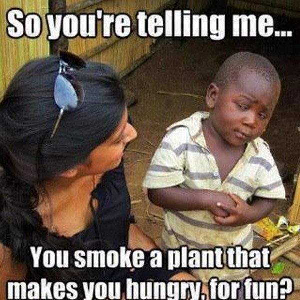 So You Are Telling Me You Smoke A Plant That Makes You Hungry For Fun Funny Bored Meme Image