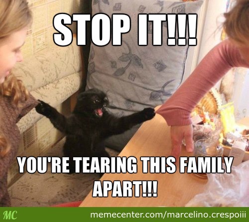 Stop It You Are Tearing This Family Apart Funny Family Meme Picture