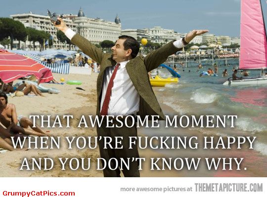 That Awesome Moment When You Are Fucking Happy And You Don't Know Why Funny Mr Bean Meme Image