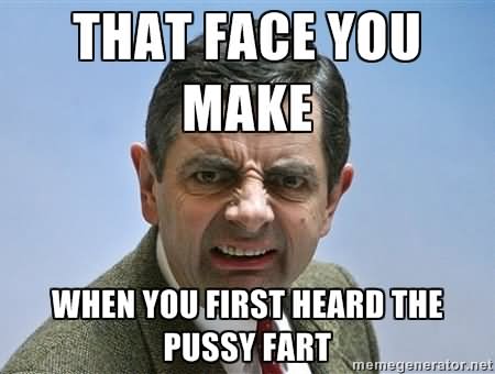 That Face You Make When You First Heard The Pussy Fart Funny Mr Bean Meme Picture